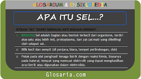 SEL: Pengertian, Jenis, Bagian-bagian, dan Contoh