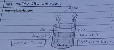 Sel Volta Sel Galvani