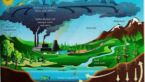 Pengertian Hujan Asam: Penyebab, Proses dan Dampak Terjadinya Hujan Asam