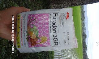 pengertian insektisida, Jenis insektisida, cara kerja insektisida