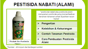 Pestisida Nabati: Pengertian, Kelebihan dan Kekurangan Serta Contoh Pestisida Alami