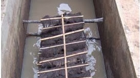 Kolam Pemijahan - Teknik Budidaya Peternakan Ikan