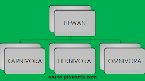 Penggolongan Jenis Hewan Beserta Contohnya