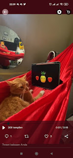 Cara download video twitter dari Hp
