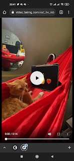 Download video twitter Mp4