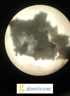 Bentuk Kristal NaCl (Natrium Klorida) Bentuk Kristal NaCl (Natrium Klorida)