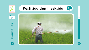 Mengenal Ragam Jenis Protista Mirip Jamur (Jamur Protista)