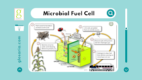 Mengenal Microbial Fuel Cell Teknologi Penghasil Listrik