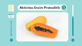 Laporan Praktikum Uji Aktivitas Enzim Proteolitik