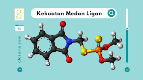 Laporan Praktikum Kekuatan Medan Ligan