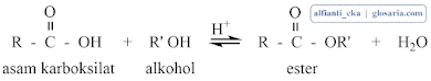 contoh mekanisme reaksi esterifikasi contoh mekanisme reaksi esterifikasi