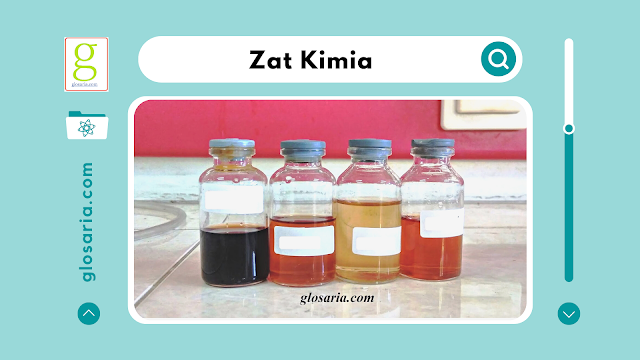 Bagaimana Tumbuhan Karnivor dapat Memakan Hewan?