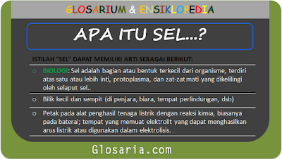 Sel: Pengertian, Jenis, Bagian-bagian, dan Contoh